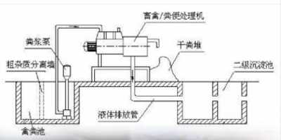 全年最精准24码